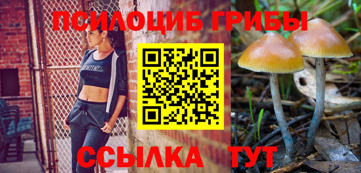 Галлюциногенные грибы Cubensis Мурино